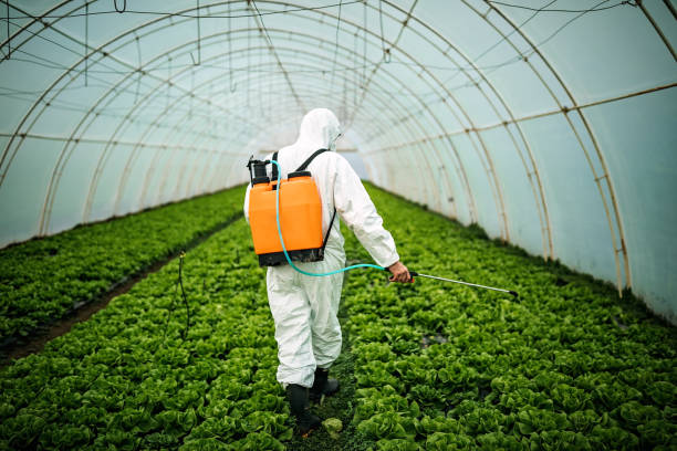 Best Local Pest Control Services  in Tool, TX