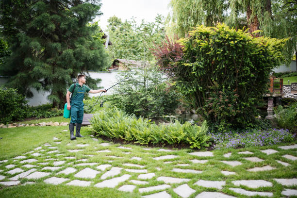 Best Affordable Pest Control Services  in Tool, TX