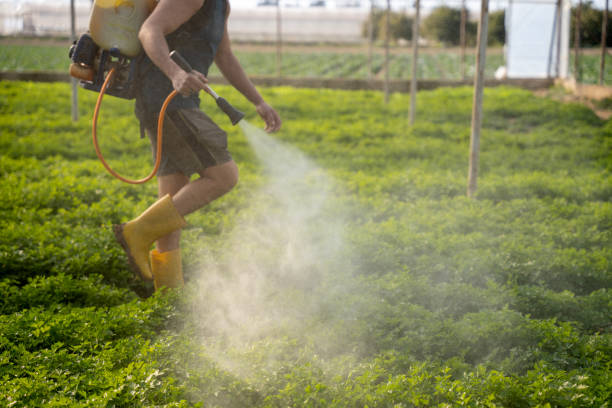 Best Wildlife Control Services  in Tool, TX