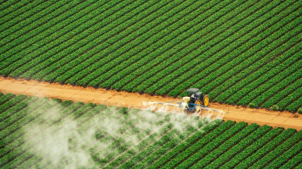 Best Best Pest Control Companies  in Tool, TX