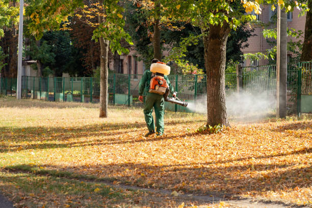 Trusted Tool, TX Pest Control Experts