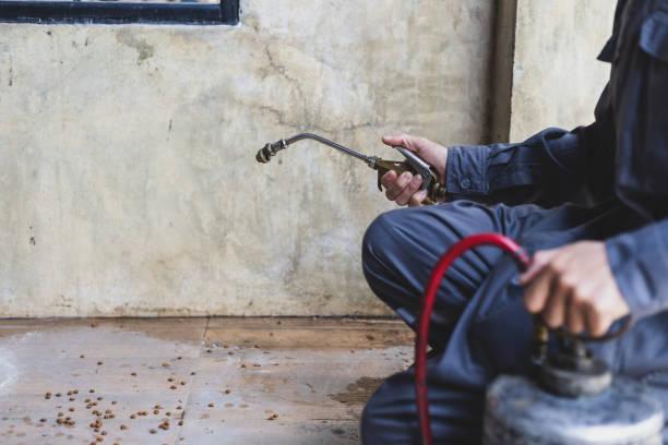 Best Rat Extermination Near Me  in Tool, TX